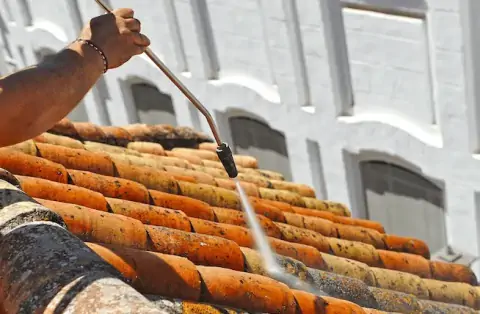 Nettoyage de toitures - Glénic